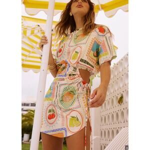 NWT Seven Wonders Brizzie Mini Dress Small Agata Mixed Fruit Print Cutout XL